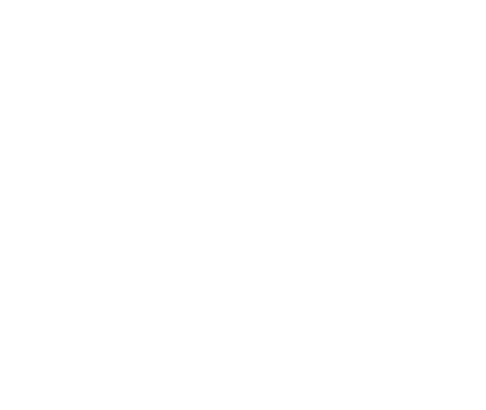 professional web development services